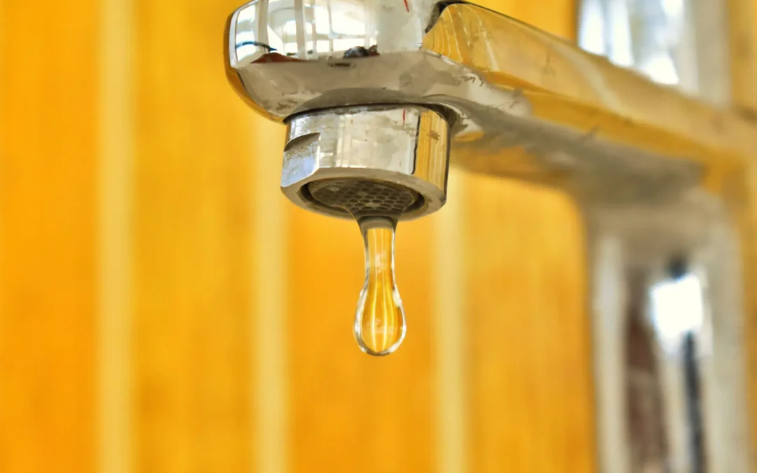Advocates Explore Innovative Solution To Maximize Water Supply