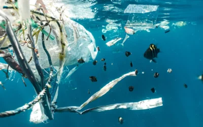 Microplastics And The Environmental Threat They Pose