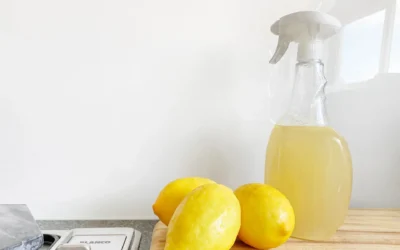 Ditch Toxic Chemicals With Eco-Friendly Cleaning Alternatives