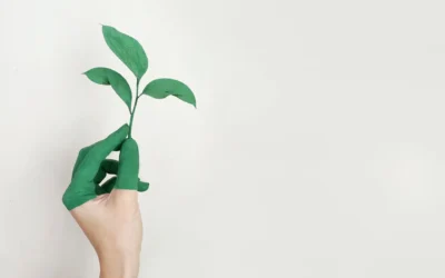 Podcasts To Help You Learn To Live Green