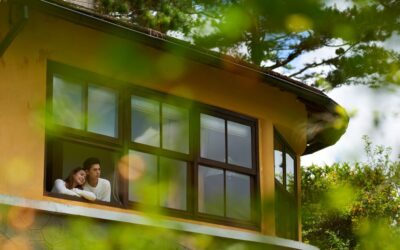 Eco-Friendly Living Made Affordable – How Sweepstakes Are Saving You Money